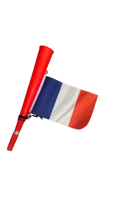 12111 HONORS WITH FLAG (France)